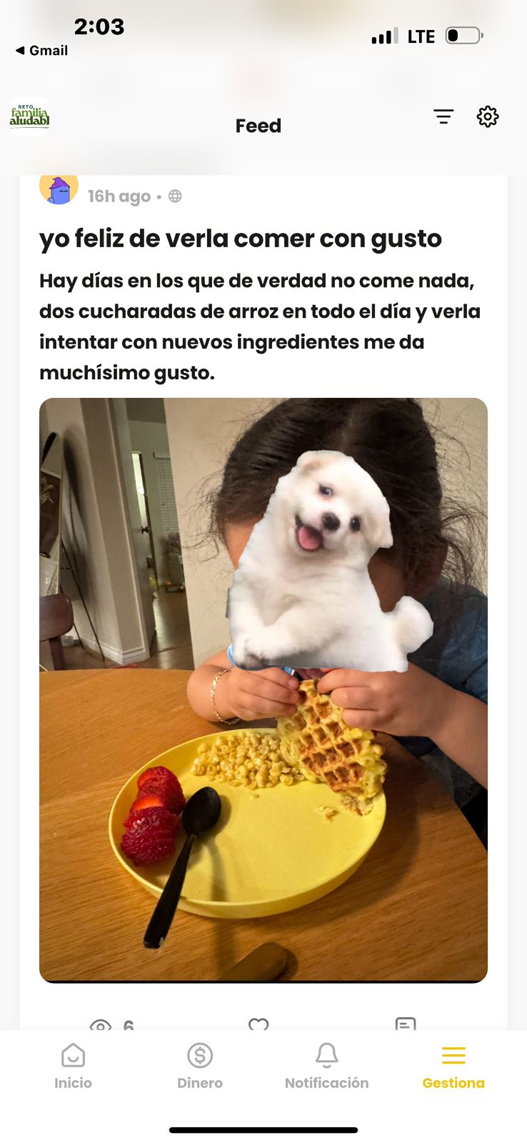 Imagen 7